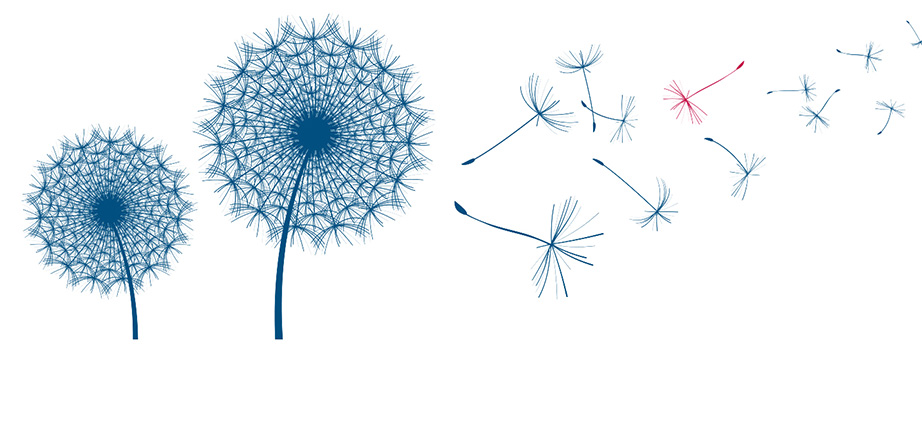 Pusteblumen